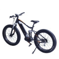 Mountain Ebike 500W Bafang Max Drive MID Motor Batería de litio Neumático gordo Bicicleta eléctrica